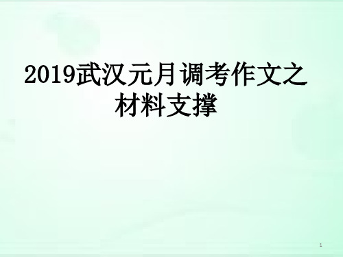 2019武汉元月调考作文之材料支撑