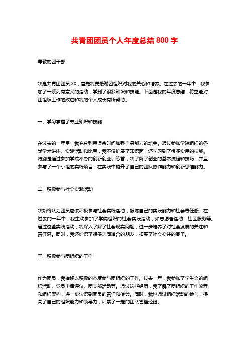 共青团团员个人年度总结800字