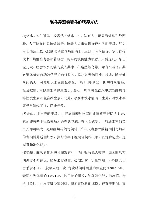 鸵鸟养殖场雏鸟的喂养方法