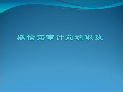 鼎信诺审计前端取数讲解精品名师资料