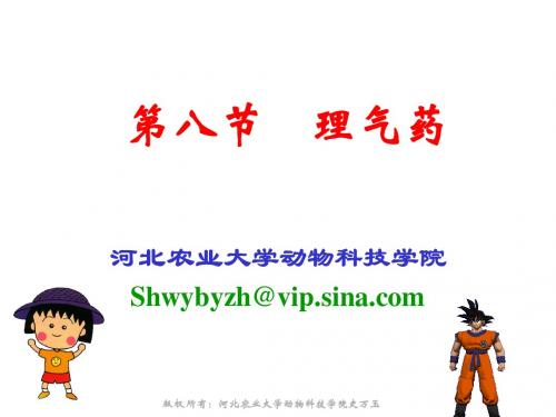 10 理气药