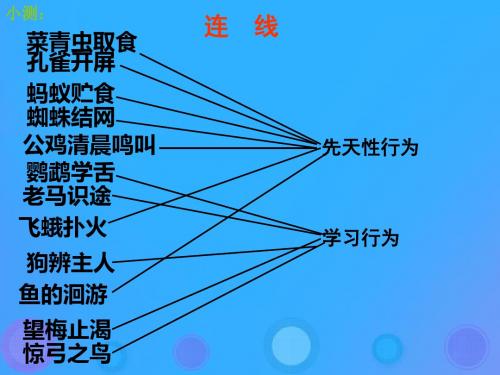 人教版(新课程标准)5.2.3《社会行为》课件(55张PPT)