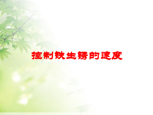 教科版科学《控制铁生锈的速度》PPT课件1