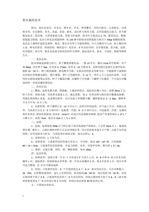 桤木栽培技术