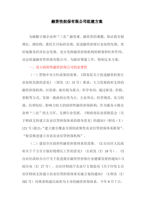 融资性担保有限公司组建方案