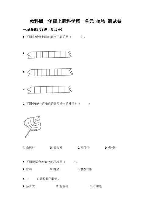 教科版一年级上册科学第一单元 植物 测试卷加精品答案