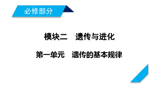 2021新高考生物人教版一轮课件：难点加强专题3 基因位置的确认及遗传实验设计 