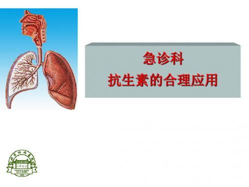 抗生素合理应用(全)