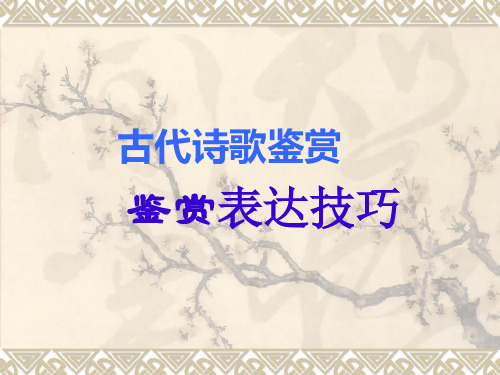 2011届高考语文第一轮知识点专题复习古代诗歌鉴赏16精选教学PPT