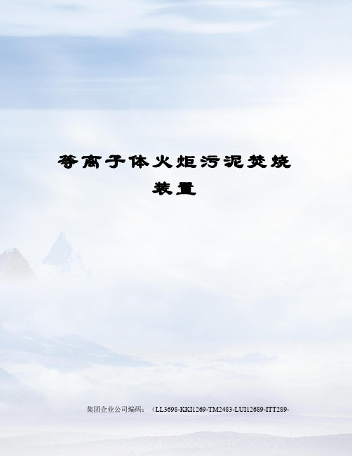 等离子体火炬污泥焚烧装置