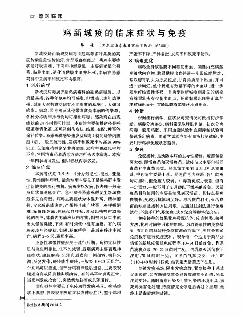 鸡新城疫的临床症状与免疫