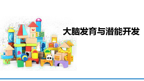 儿童潜能开发：大脑发育与潜能开发
