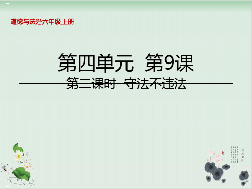 守法不违法PPT课件