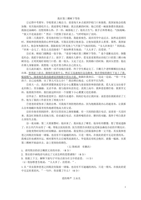 我在第三棵树下等你