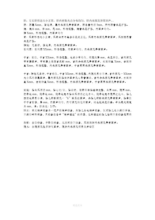 B超正常报告模板