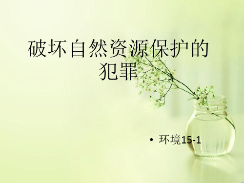 环境资源保护法之破坏自然资源保护的犯罪PPT