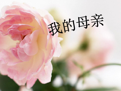 我的母亲(老舍)ppt课件53(说课)