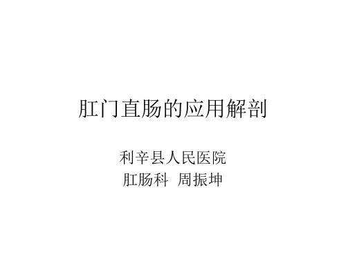 直肠局部解剖