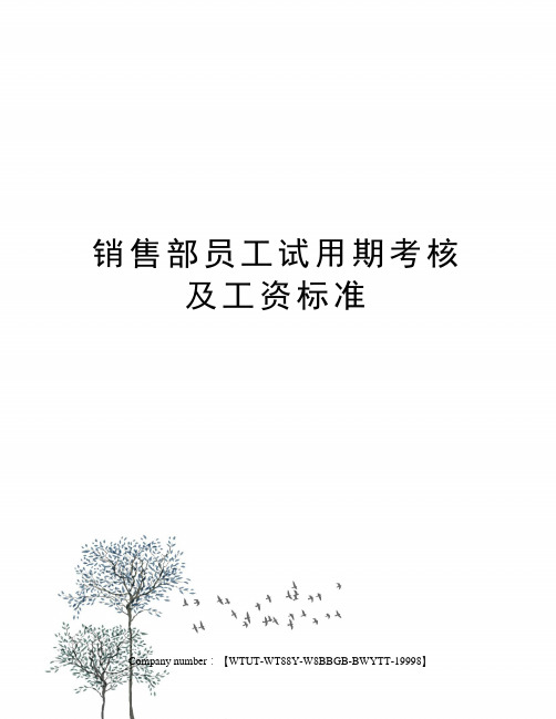 销售部员工试用期考核及工资标准