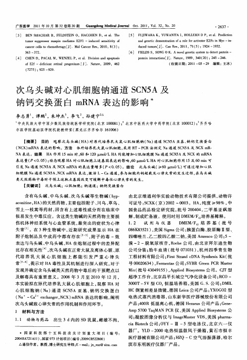 次乌头碱对心肌细胞钠通道SCN5A及钠钙交换蛋白mRNA表达的影响