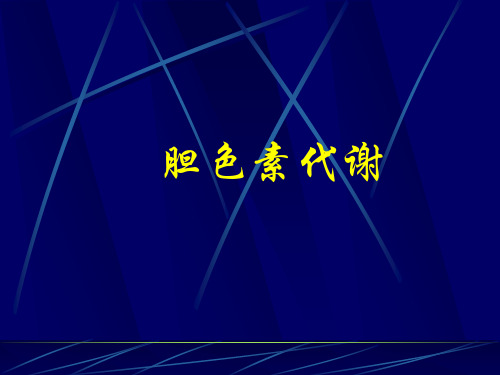 胆色素代谢