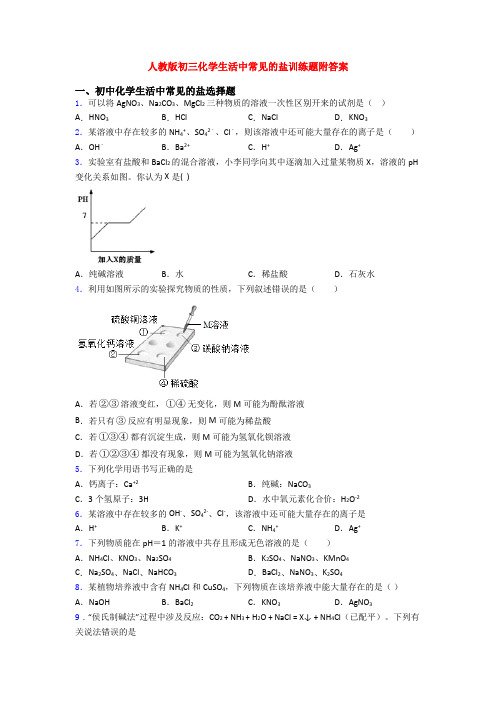 人教版初三化学生活中常见的盐训练题附答案