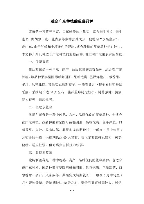 适合广东种植的蓝莓品种