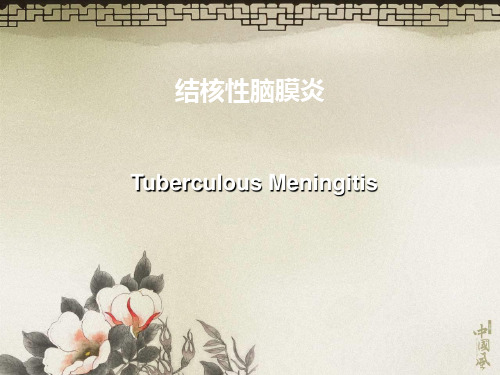结核性脑膜炎.ppt