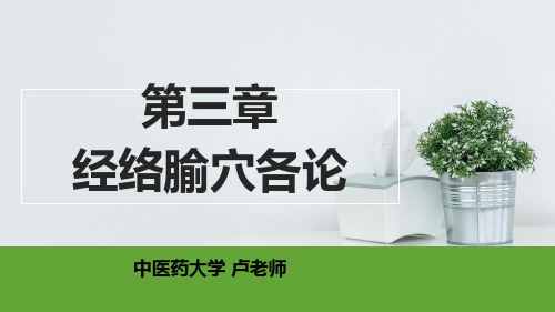 02手阳明大肠经及其腧穴