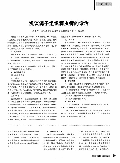 浅谈鸽子组织滴虫病的诊治
