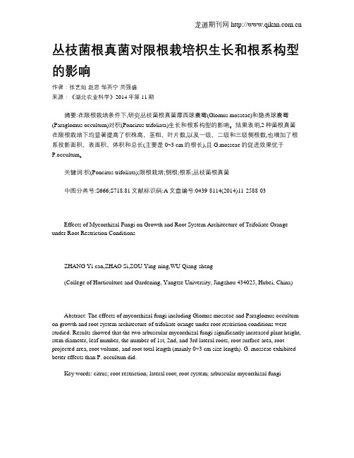 丛枝菌根真菌对限根栽培枳生长和根系构型的影响