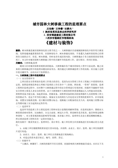 城市园林大树移栽工程的监理要点