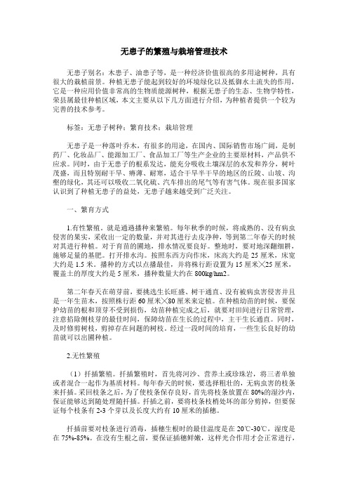 无患子的繁殖与栽培管理技术