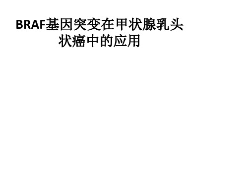 BRAF基因突变在甲状腺乳头状癌中的应用PPT课件