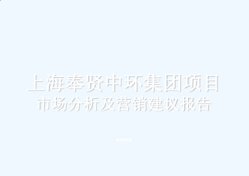 某项目市场分析及营销建议报告