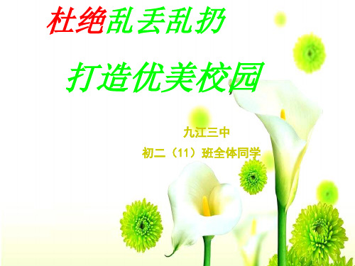 杜绝乱丢乱扔主题班会ppt课件下载