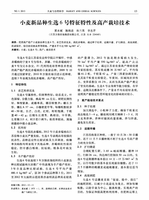 小麦新品种生选6号特征特性及高产栽培技术