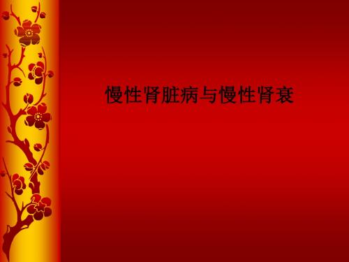 慢性肾脏病与慢性肾衰ppt课件