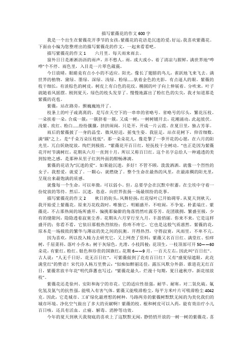 描写紫薇花的作文600字