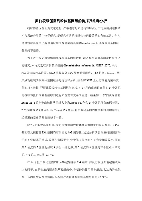 罗伯茨绿僵菌线粒体基因组的测序及注释分析