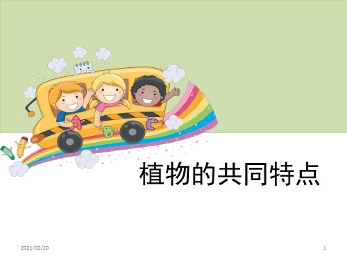 小学三年级上册科学 《植物的共同特点》植物PPT优秀课件