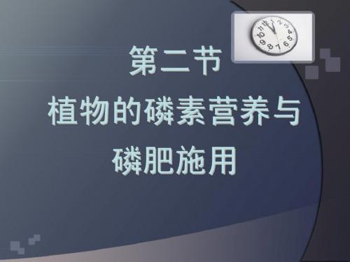 植物磷素营养及磷肥_土壤肥料学