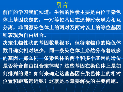 第六章 染色体与连锁群