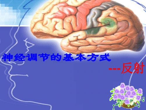 第三节 神经调节的基本方式