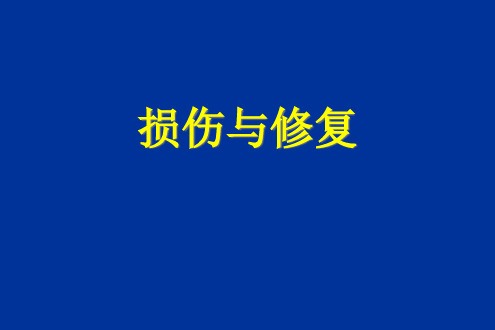 损伤与修复精品PPT课件