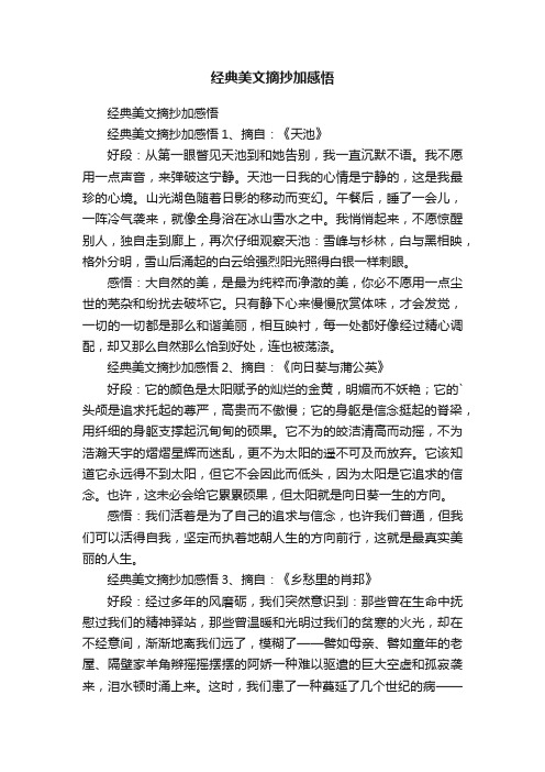 经典美文摘抄加感悟