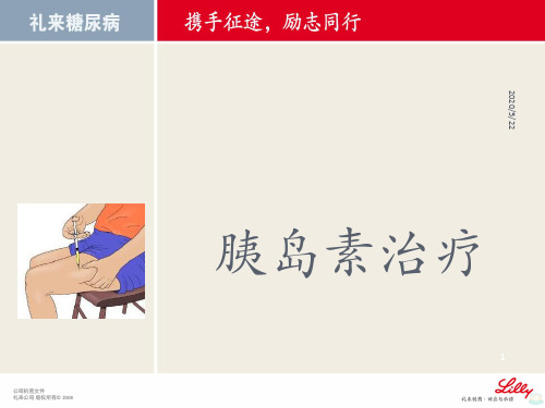 胰岛素治疗PPT课件