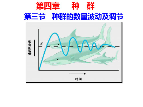 4.3-种群的数量波动及调节