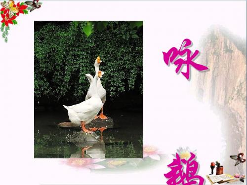 8《咏鹅》PPT_课件