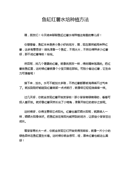 鱼缸红薯水培种植方法
